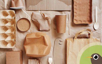 Packaging ecologico